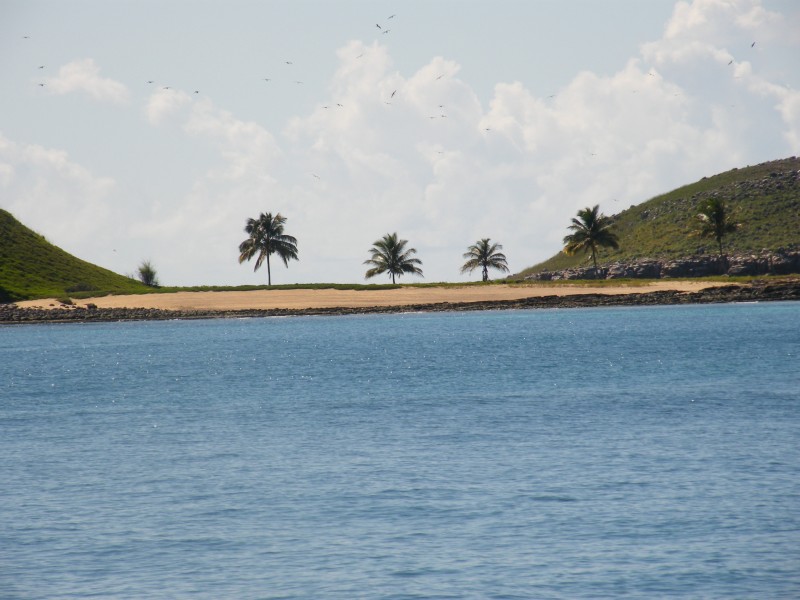 DSCF1344.JPG