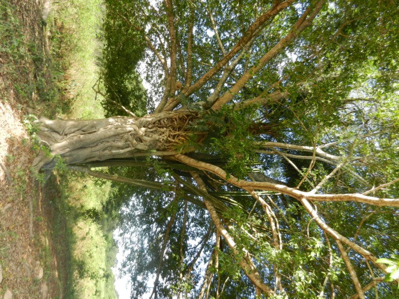 DSCN0557.JPG