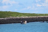 IMG_3741.JPG