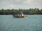 DSCN1641.JPG