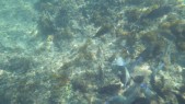 IMGP0701.JPG