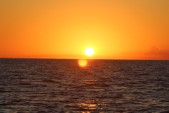 IMG_3970.JPG