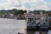 IMG_4013.JPG