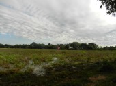 DSCN0537.JPG