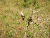 DSCN0926.JPG