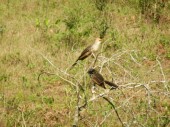 DSCN0928.JPG